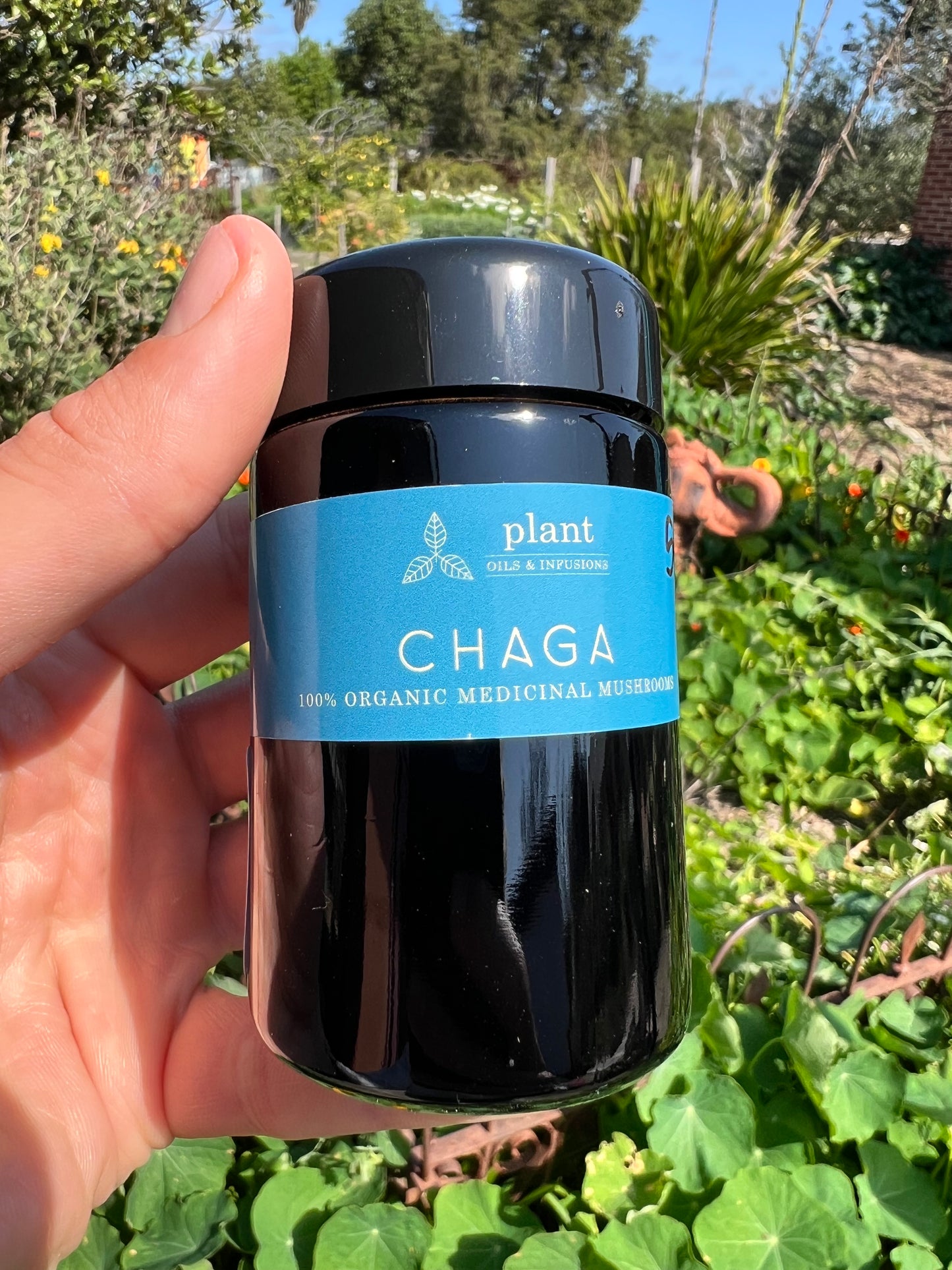 Chaga 100% Organic Medicinal Mushroom Powder