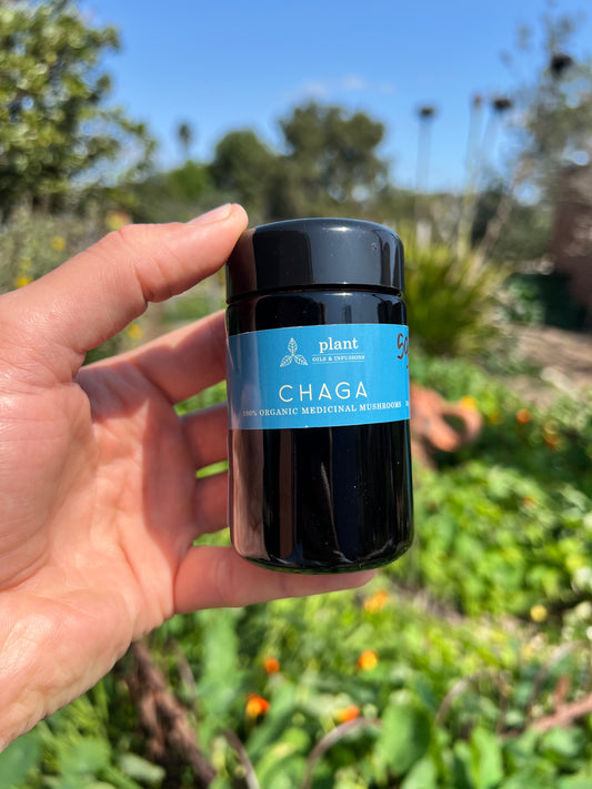 Chaga 100% Organic Medicinal Mushroom Powder