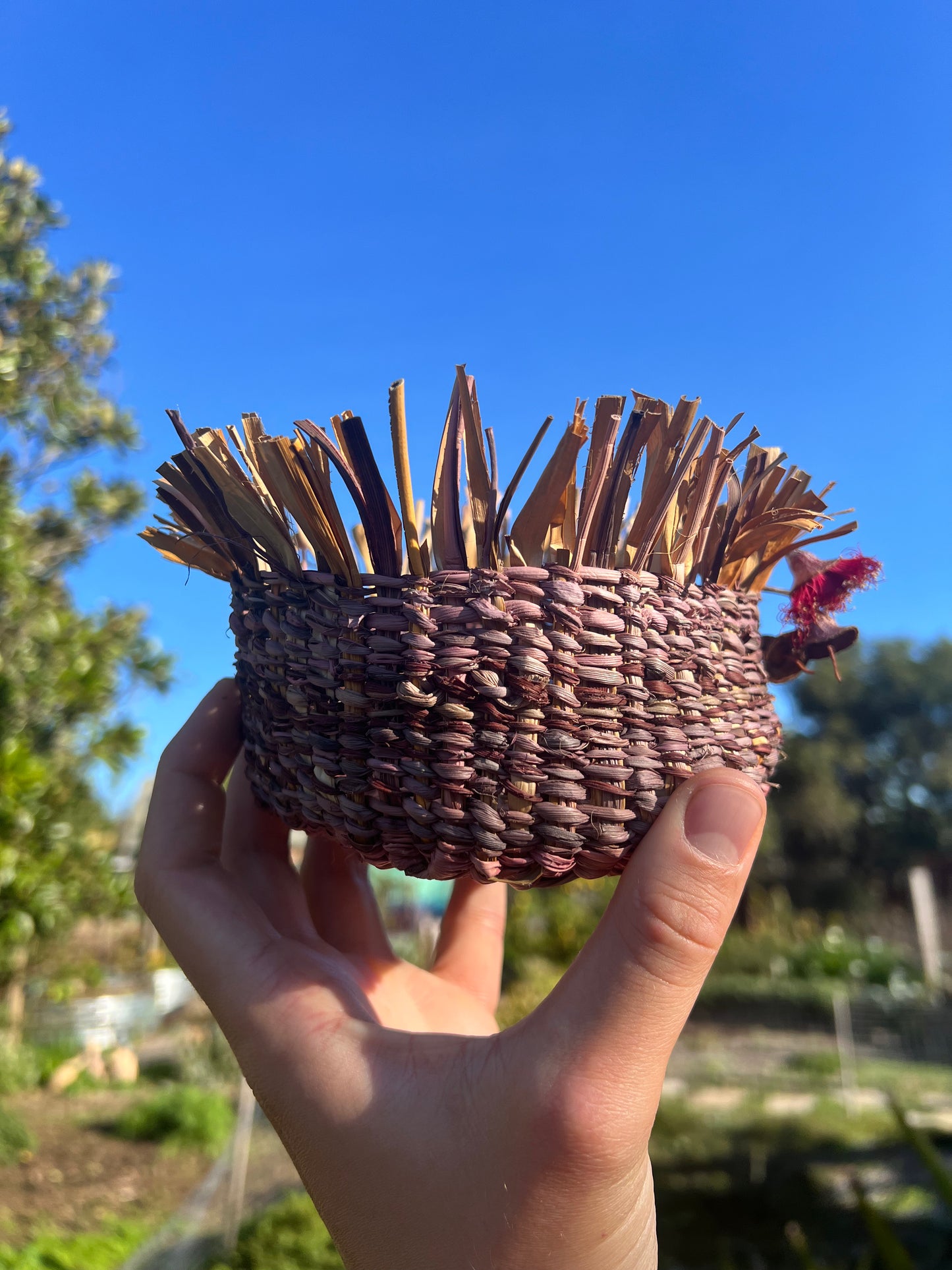 Hand Woven Basket