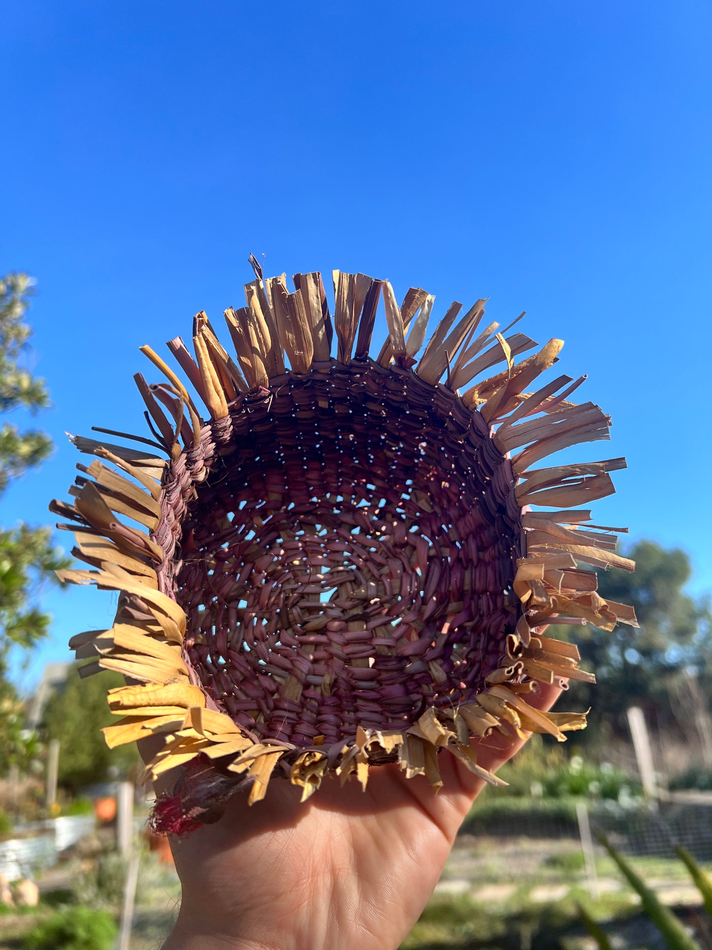 Hand Woven Basket